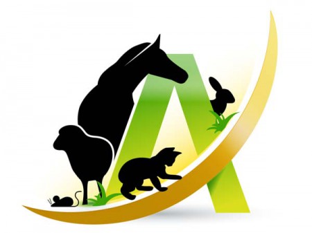 Logo Arche KaNaum / © Arche KaNaum