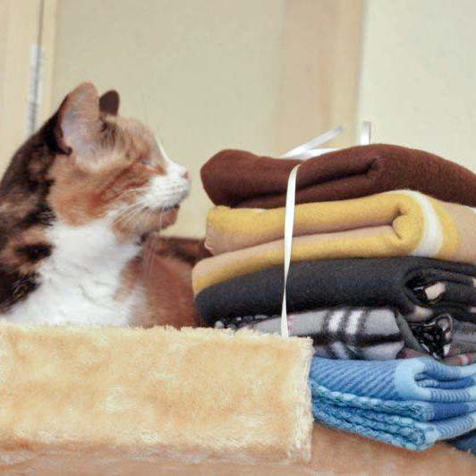 Unsere liebe Oma Hilde hat einen ganzen Stapel weiche Deckchen bekommen! / © 2013 Arche KaNaum (DN)