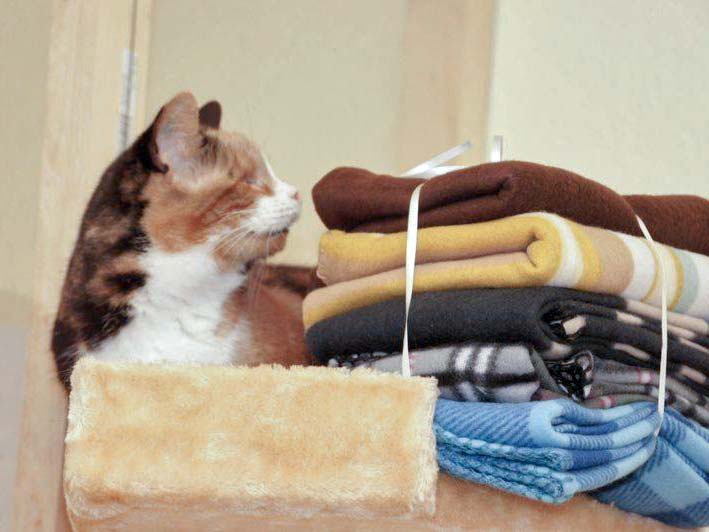 Unsere liebe Oma Hilde hat einen ganzen Stapel weiche Deckchen bekommen! / © 2013 Arche KaNaum (DN)