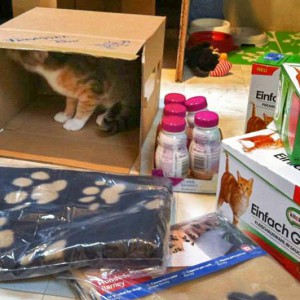 Merle findet auch die Verpackung toll! / © 2013 Arche KaNaum (DN)