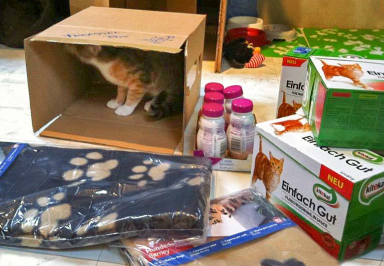 Merle findet auch die Verpackung toll! / © 2013 Arche KaNaum (DN)