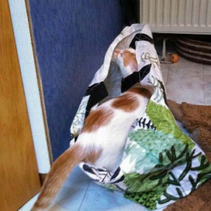 Toni guckt nach, ob auch wirklich alles aus der Geschenketasche raus ist / © 2013 Arche KaNaum (DN)