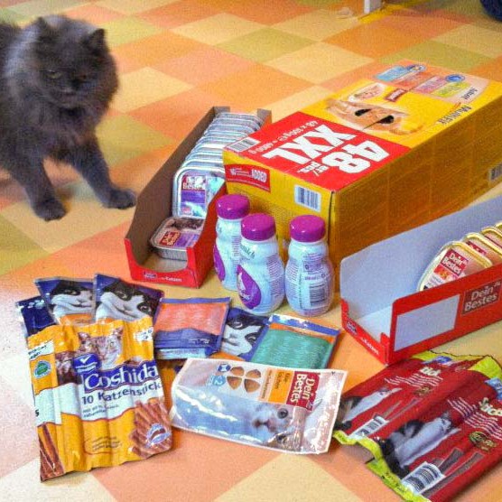 Schnurri war auch ganz erstaunt über die vielen tollen Geschenke … / © 2013 Arche KaNaum (DN)