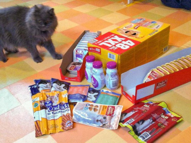 Schnurri war auch ganz erstaunt über die vielen tollen Geschenke … / © 2013 Arche KaNaum (DN)