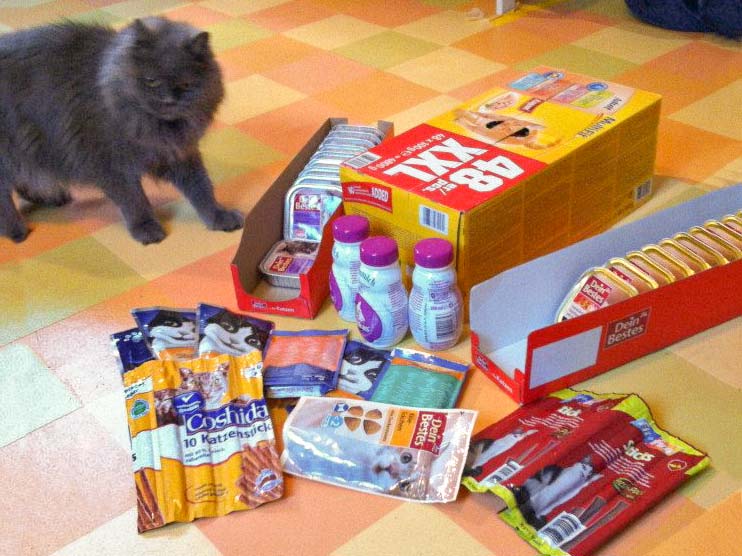 Schnurri war auch ganz erstaunt über die vielen tollen Geschenke … / © 2013 Arche KaNaum (DN)