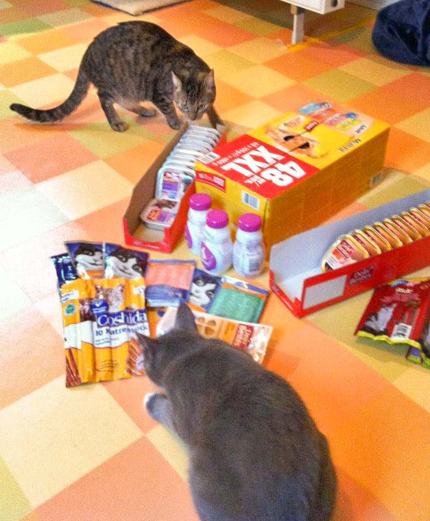 Auch Lina sucht sich schon mal ihr Lieblingsfutter heraus! / © 2013 Arche KaNaum (DN)