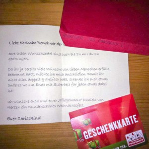 Ganz besonders freuen wir uns natürlich auch über unerwartete Geschenke wie dieses hier! / © 2013 Arche KaNaum (DN)