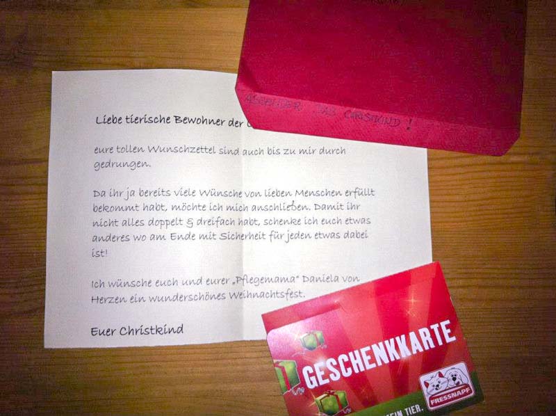 Ganz besonders freuen wir uns natürlich auch über unerwartete Geschenke wie dieses hier! / © 2013 Arche KaNaum (DN)