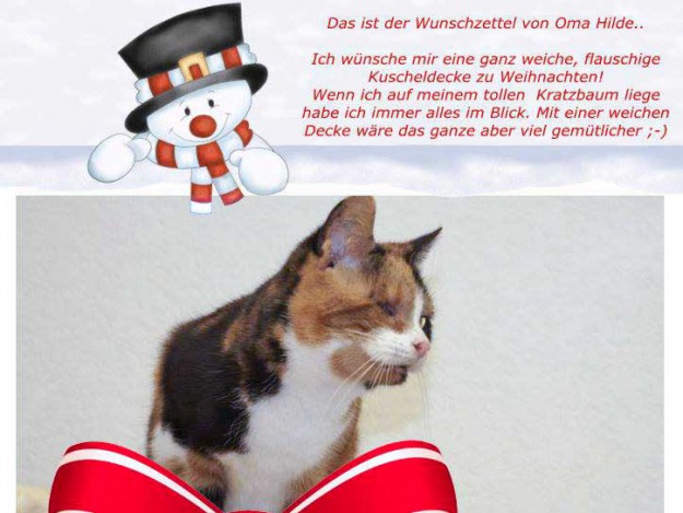 Weihnachtswünsche 2013 / © 2013 Arche KaNaum (DN)