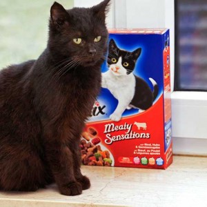 Opa Fritz hat sein Lieblingsfutter geschenkt bekommen! / © 2013 Arche KaNaum (DN)