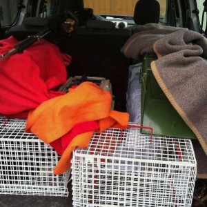 Tierschutz-/Kastrations-Aktion in Berndorf / © 2014 Arche KaNaum (DN)