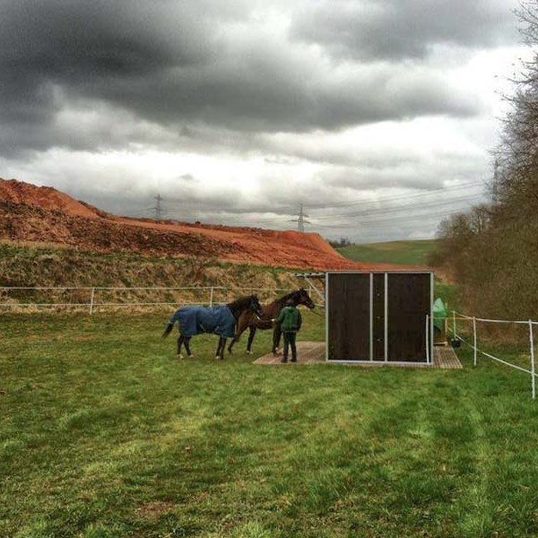 Gnadenhof-Pferde Carthago (r.) und Lando mit ihrer neuen Weidehütte Gnadenhof-Pferde Carthago (r.) und Lando mit ihrer neuen Weidehütte / © 2014 Arche KaNaum (DN)