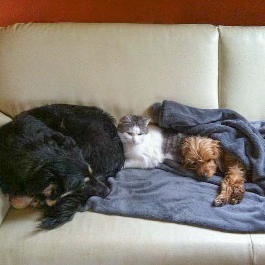 Kätzin Mary / © 2014 Arche KaNaum (DN)