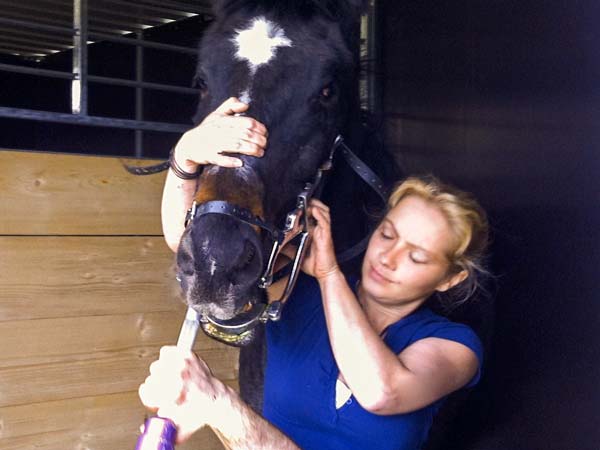Nicht schön, musste aber sein: unser Lando hat Besuch vom Zahnarzt ... / © 2014 Arche KaNaum (DN)