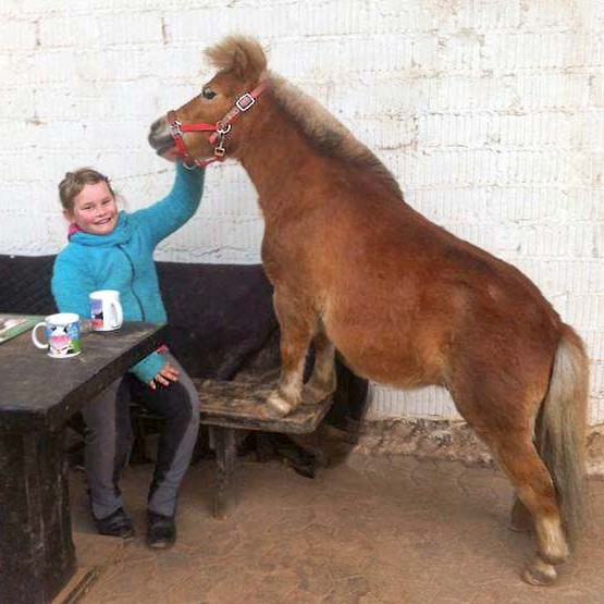 Pferd Emma mit ihrer lieben Pflegerin Louisa Pferd Emma mit ihrer lieben Pflegerin Louisa / © 2014 Arche KaNaum (LD)