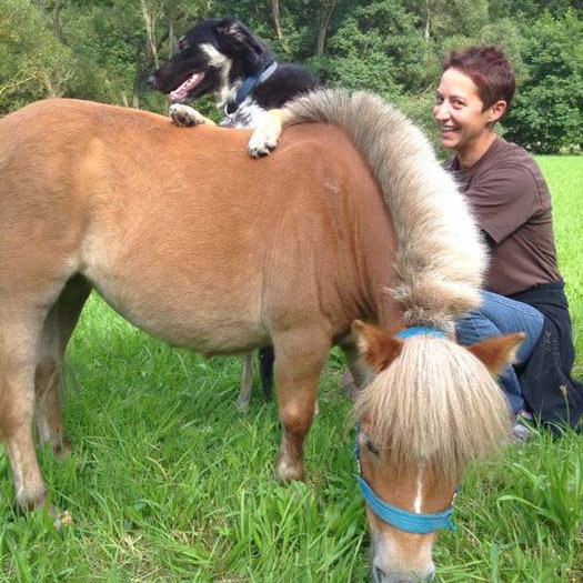 Unser „Zirkus“-Pferd Emma Unser "Zirkus"-Pferd Emma / © 2014 Arche KaNaum (LD)