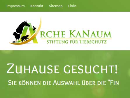 Zuhause gesucht! / © 2014 Arche KaNaum (NH)