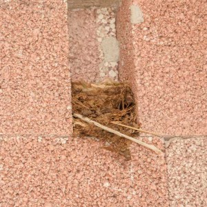 Die ersten Bewohner sind inzwischen auch schon eingezogen … Die ersten Bewohner sind inzwischen auch schon eingezogen ... / © 2014 Arche KaNaum (DN)