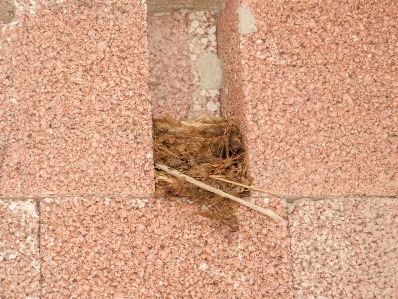 Die ersten Bewohner sind inzwischen auch schon eingezogen ... / © 2014 Arche KaNaum (DN)