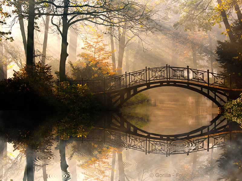 Abschied (Regenbogenbrücke / © Gorilla - Fotolia.com)