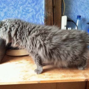 „Erst mal hier alles in Ruhe erkunden!“ – Unsere Schnurri kurz vor der großen Scheraktion "Erst mal hier alles in Ruhe erkunden!" - Unsere Schnurri kurz vor der großen Scheraktion / © 2014 Arche KaNaum (DN)