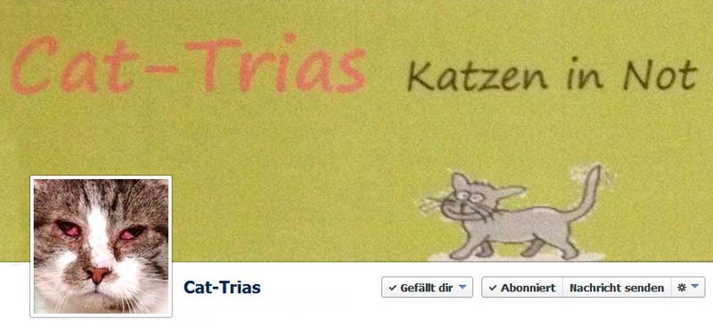 Vorstellung Tierschutzverein "Cat-Trias" aus Brilon - Facebook-Titel / © 2014 Cat-Trias