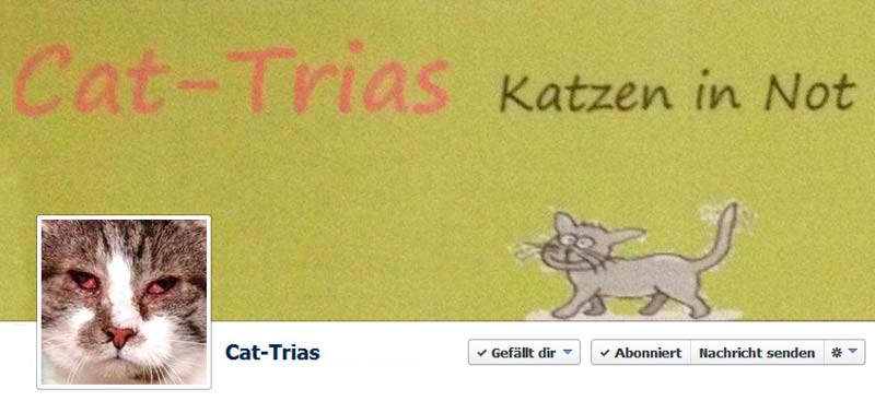 Vorstellung Tierschutzverein "Cat-Trias" aus Brilon - Facebook-Titel Vorstellung Tierschutzverein "Cat-Trias" aus Brilon - Facebook-Titel / © 2014 Cat-Trias