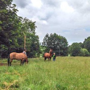 Henrys (r.) Ankunft im neuen Zuhause   /  © 2015 Arche KaNaum (DN) Henrys (r.) Ankunft im neuen Zuhause / © 2015 Arche KaNaum (DN)