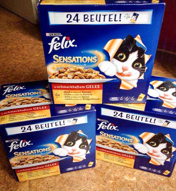 Futterspende / © 2014 Arche KaNaum (DN)