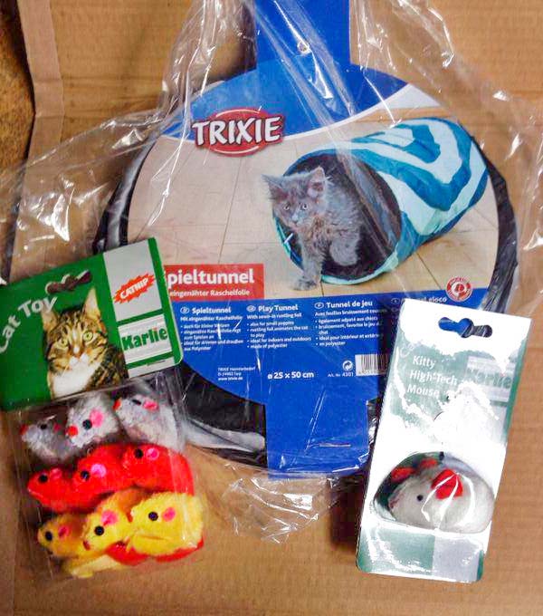 Spielzeug-Spende / © 2014 Arche KaNaum (DN)