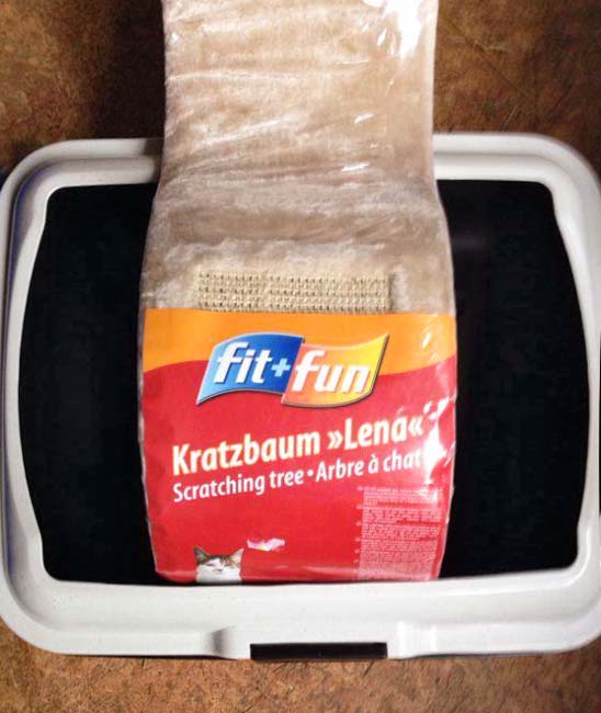 Katzenzubehör-Spende / © 2014 Arche KaNaum (DN)