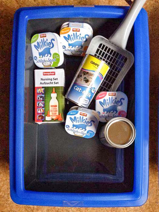 Katzenzubehör-Spende / © 2014 Arche KaNaum (DN)