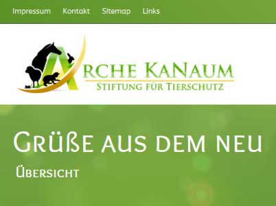 Übersicht: Grüße aus dem neuen Zuhause / © 2014 Arche KaNaum (NH)