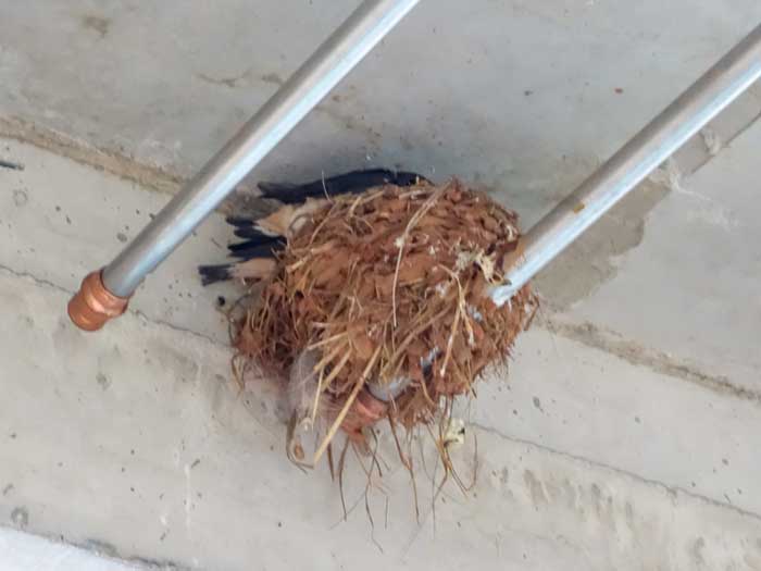 Unseren kleinen Gästen wird's langsam etwas eng ... / © 2014 Arche KaNaum (NH)