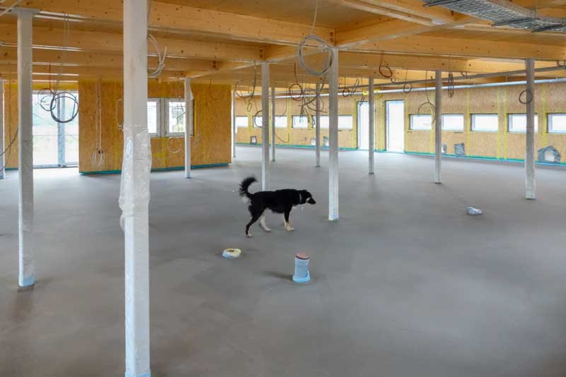 Unser Wachhund Sola prüft gewissenhaft die Bauausführungen ... / © 2014 Arche KaNaum (NH)