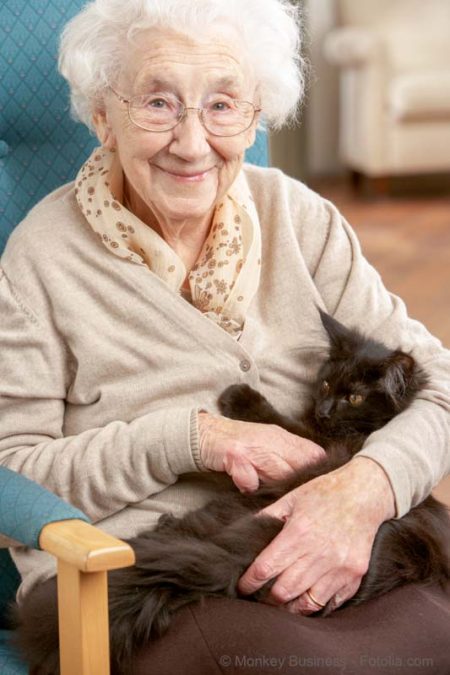 Alte Dame mit Schmusekatze / © Monkey Business - Fotolia.com