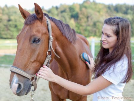 Junge Frau mit Pferd / © berc - Fotolia.com
