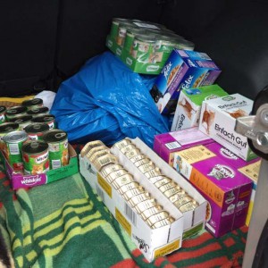 Futterspenden / © 2014 Arche KaNaum (DN)