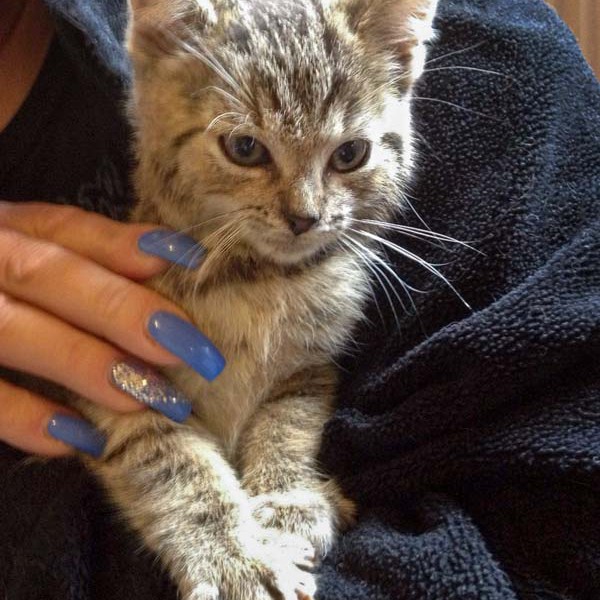 Katerchen Mario / © 2014 Arche KaNaum (DN)