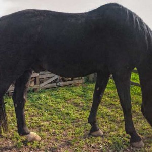 Hessen-Wallach Miro / © 2014 Privat Hessen-Wallach Miro / © 2014 Privat