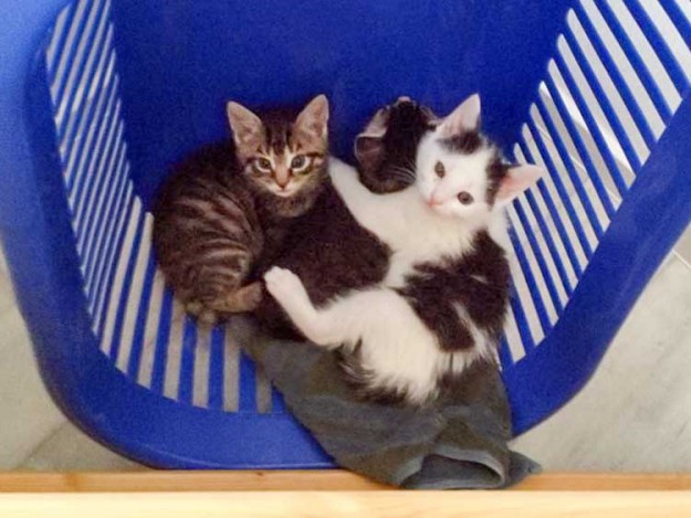 Platz ist in der kleinsten Hütte: Antonia (l.) mit ihren beiden Brüdern Klaus (m.) und Niko / © 2014 Arche KaNaum (DN)