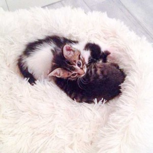 Kuscheln sich ins neue Jahr: Niko (l.) mit Schwesterchen Antonia / © 2014 Arche KaNaum (DN)