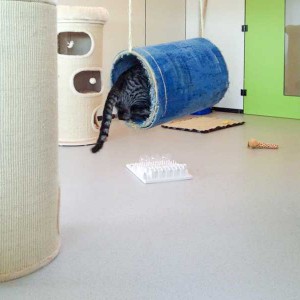 Geschafft! Antonia und die Schaukel / © 2015 Arche KaNaum (DN)