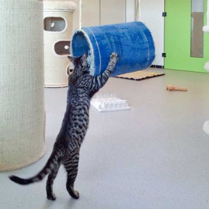 Antonia und die Schaukel / © 2015 Arche KaNaum (DN)