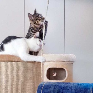 Niko (v.) und Klaus erkunden die neue Schaukel / © 2015 Arche KaNaum (DN)