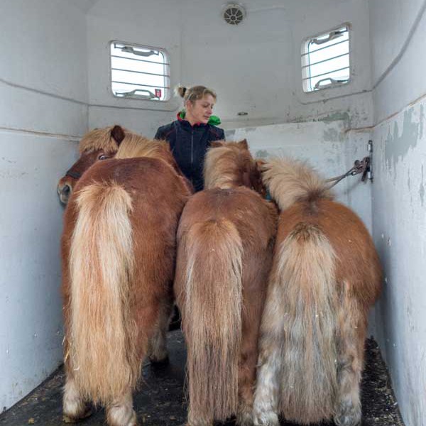 Wie die Orgelpfeifen: Filou, Otto und Emma (v.l.) mit Betreuerin Lena im Hänger Wie die Orgelpfeifen: Filou, Otto und Emma (v.l.) mit Betreuerin Lena im Hänger / © 2014 Arche KaNaum (NH)