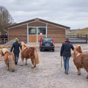 Willkommen im neuen Stall: Emma, Filou und Otto (v.l.) werden schon erwartet … Willkommen im neuen Stall: Emma, Filou und Otto (v.l.) werden schon erwartet ... / © 2014 Arche KaNaum (NH)