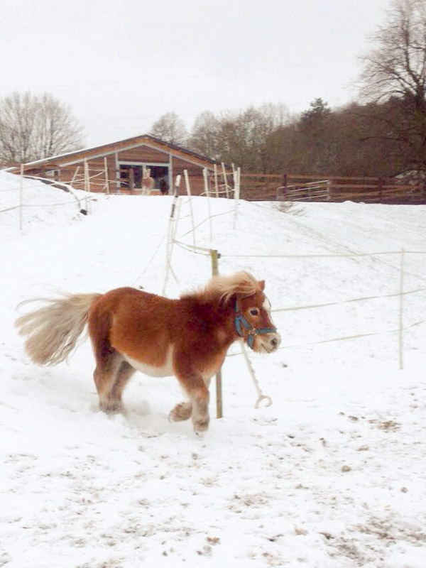 Emma tobt im Schnee / © 2014 Arche KaNaum (DN)