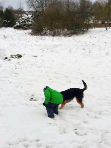 Hündin Hexe / © 2015 Privat