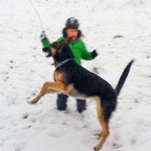 Hündin Hexe / © 2015 Privat